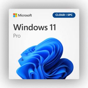Windows 10/11 cloud - 5pc